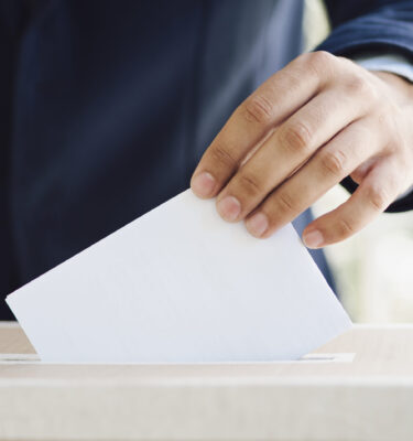 Politinių kampanijų dalyvių patikrinimas